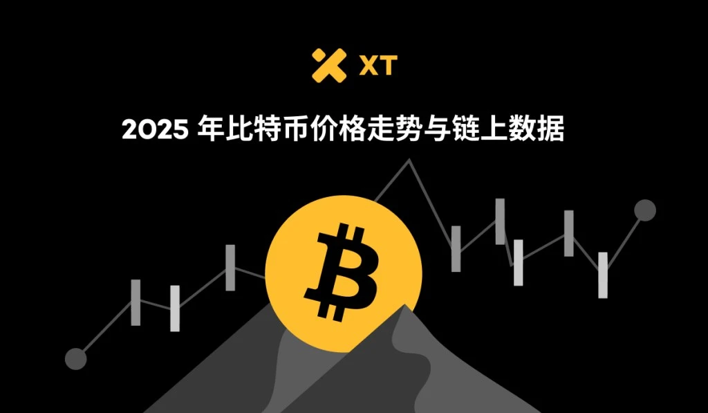 2025比特币牛市密码 链上供需、交易活跃度与质押回报揭秘